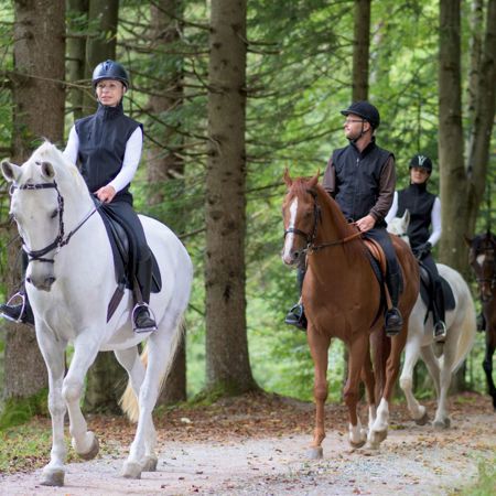 Horse Riding